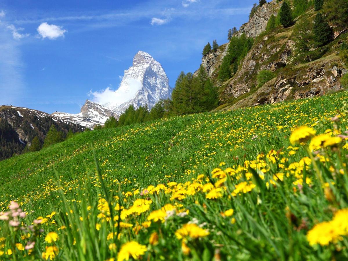 Apartment Silence-1 By Interhome Zermatt Exteriér fotografie
